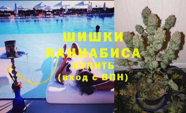 сатива Бородино