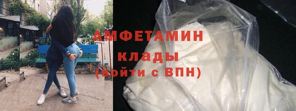 сатива Бородино