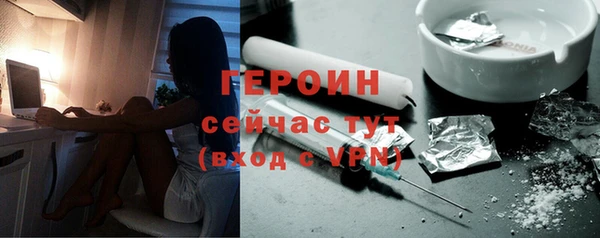 сатива Бородино