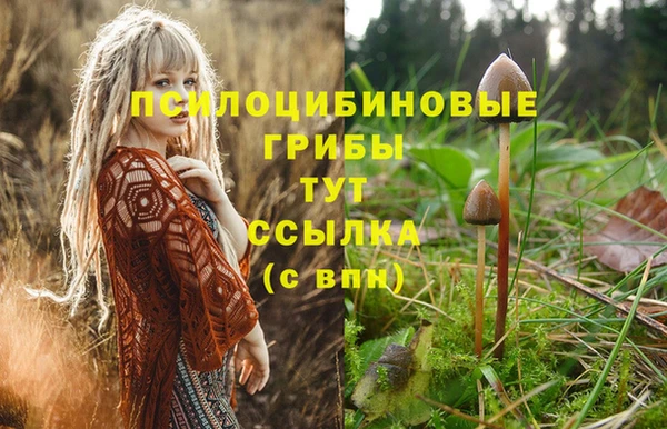 мет Бронницы