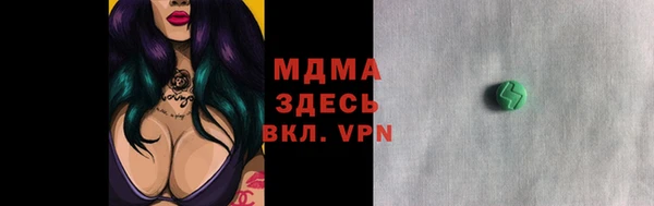 сатива Бородино