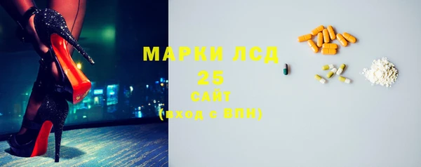 сатива Бородино