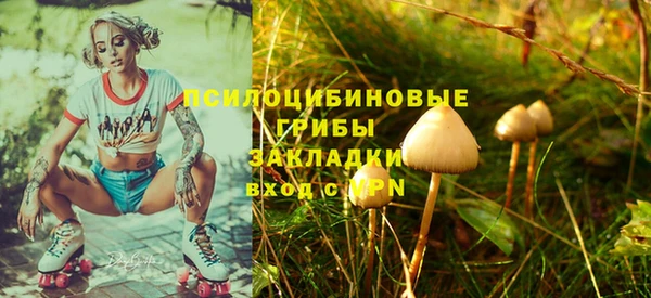 твердый Бугульма