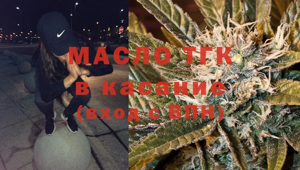 сатива Бородино