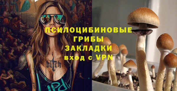 сатива Бородино