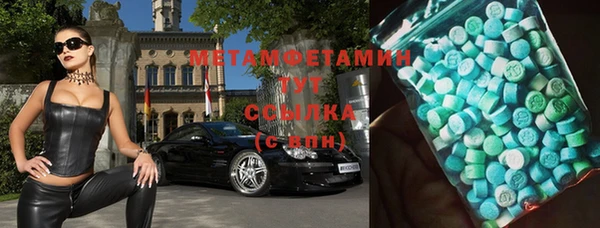 сатива Бородино