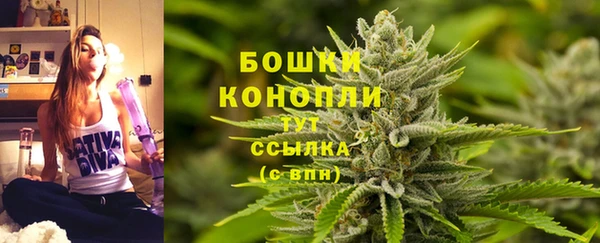 сатива Бородино